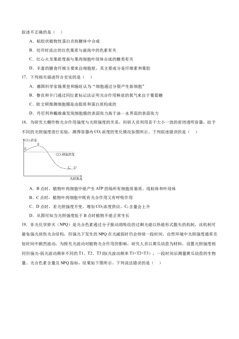 专题10光合作用（原卷版)_2024年新高考资料_3.2024专项复习_备战2024年高考生物一轮复习重难点专项突破_专题10光合作用-备战2024年高考生物一轮复习重难点专项突破