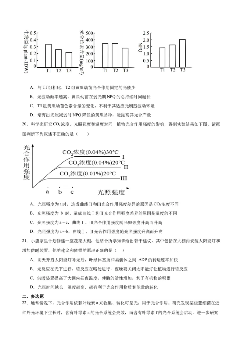 专题10光合作用（原卷版)_2024年新高考资料_3.2024专项复习_备战2024年高考生物一轮复习重难点专项突破_专题10光合作用-备战2024年高考生物一轮复习重难点专项突破