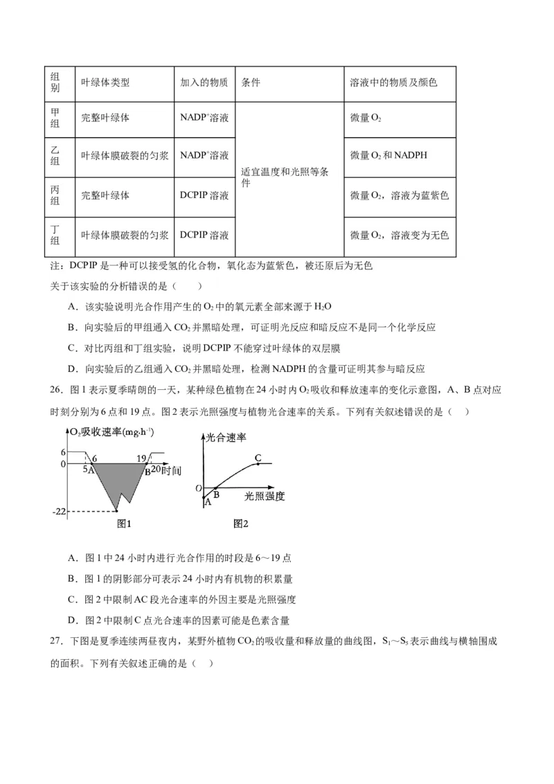 专题10光合作用（原卷版)_2024年新高考资料_3.2024专项复习_备战2024年高考生物一轮复习重难点专项突破_专题10光合作用-备战2024年高考生物一轮复习重难点专项突破