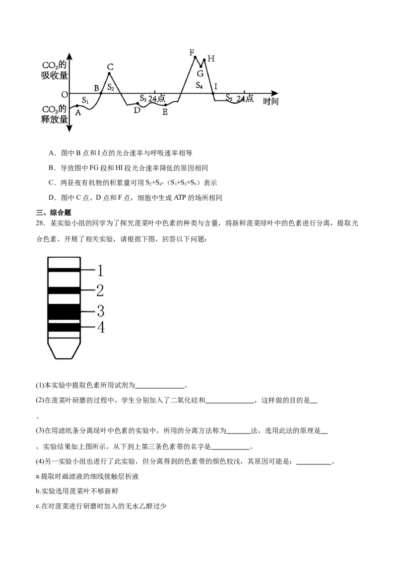 专题10光合作用（原卷版)_2024年新高考资料_3.2024专项复习_备战2024年高考生物一轮复习重难点专项突破_专题10光合作用-备战2024年高考生物一轮复习重难点专项突破