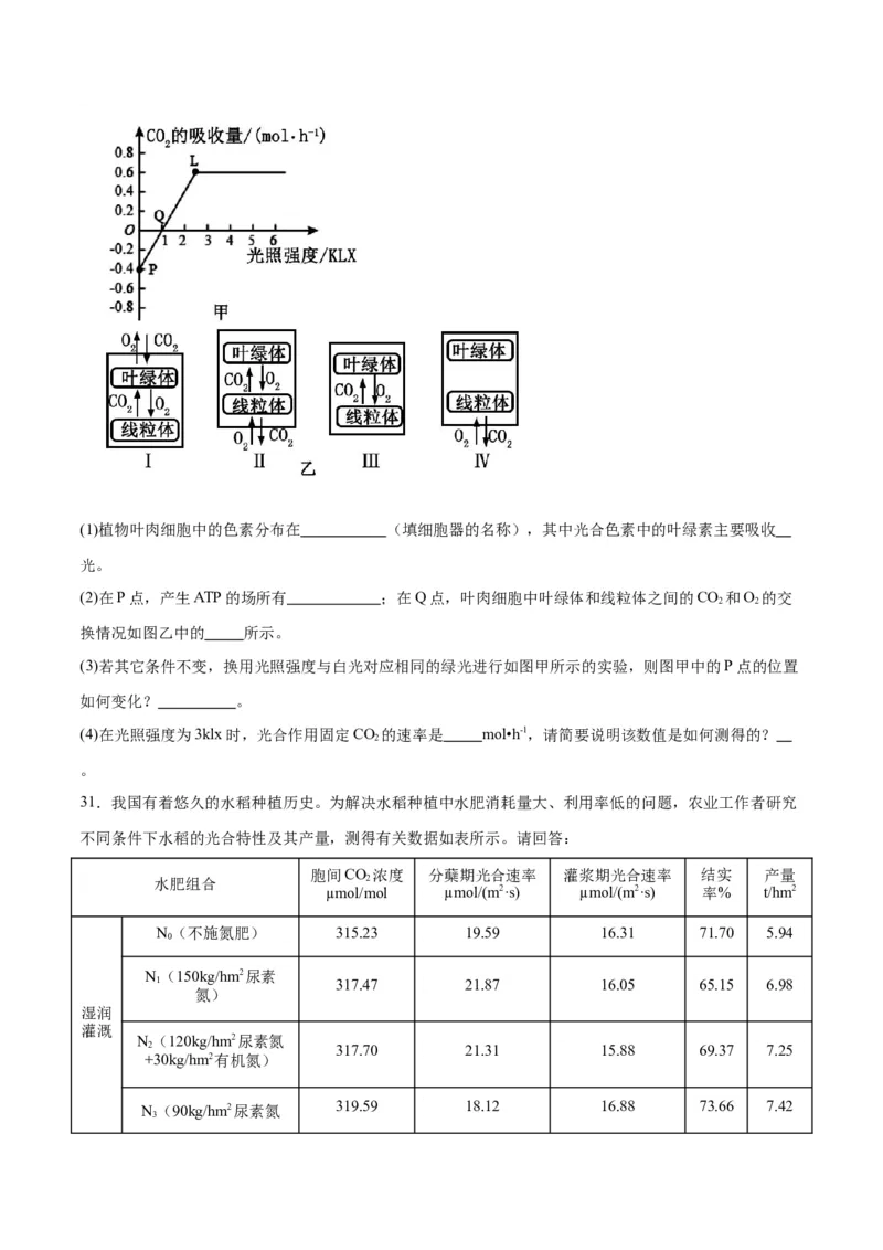 专题10光合作用（原卷版)_2024年新高考资料_3.2024专项复习_备战2024年高考生物一轮复习重难点专项突破_专题10光合作用-备战2024年高考生物一轮复习重难点专项突破