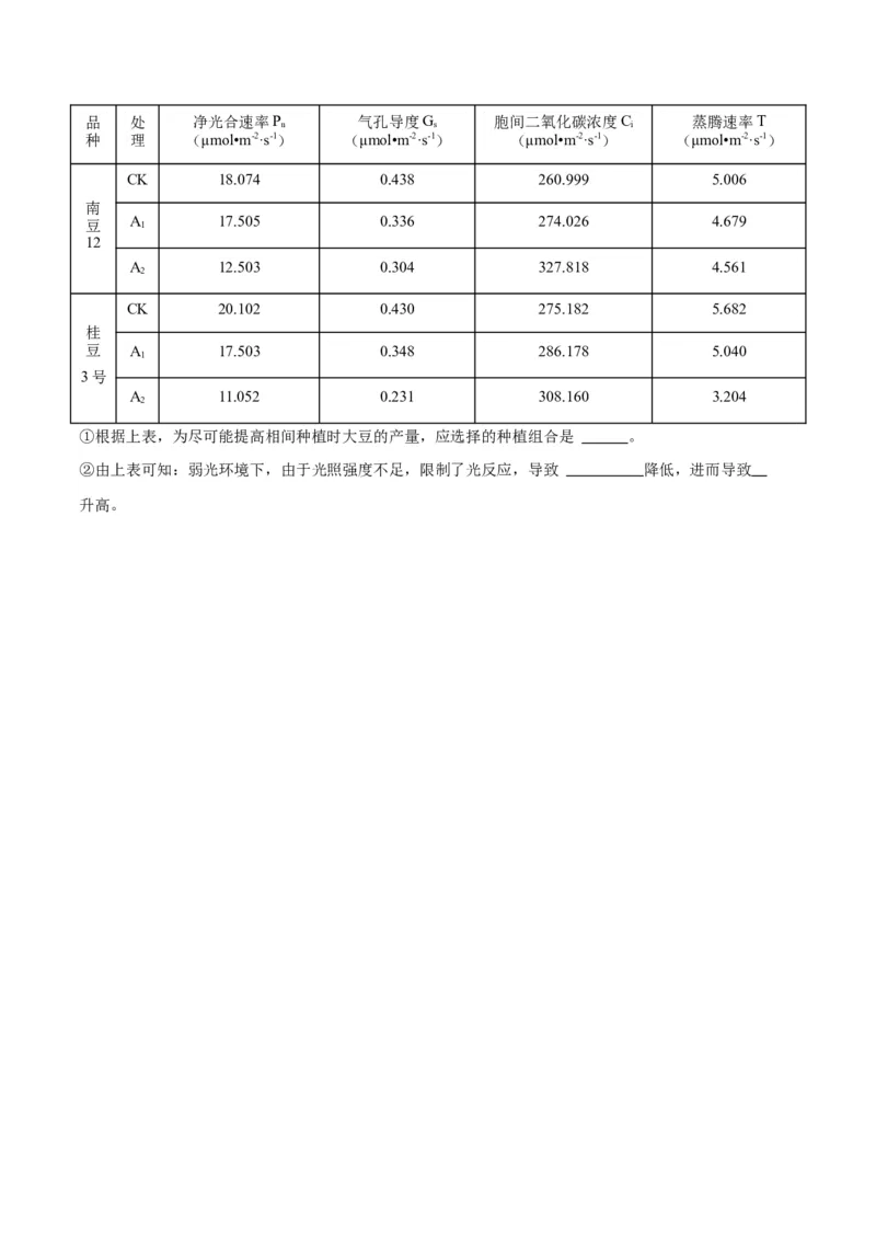 专题10光合作用（原卷版)_2024年新高考资料_3.2024专项复习_备战2024年高考生物一轮复习重难点专项突破_专题10光合作用-备战2024年高考生物一轮复习重难点专项突破