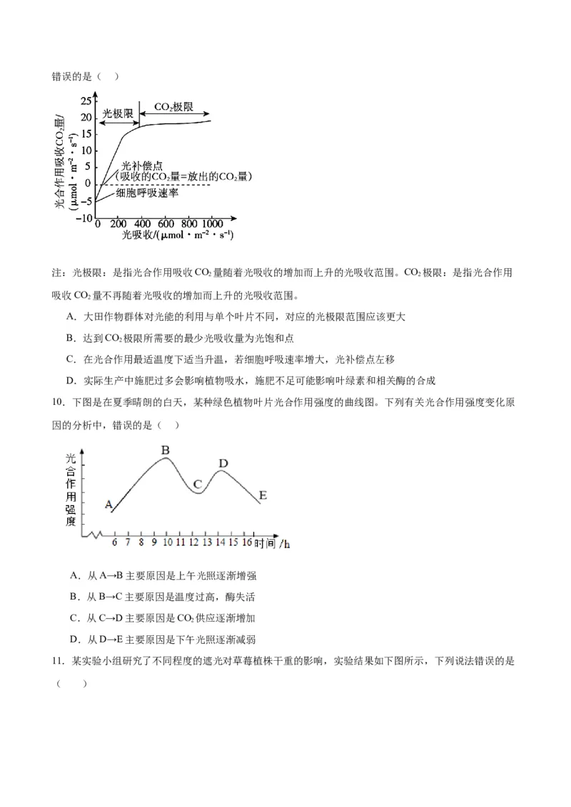专题10光合作用（原卷版)_2024年新高考资料_3.2024专项复习_备战2024年高考生物一轮复习重难点专项突破_专题10光合作用-备战2024年高考生物一轮复习重难点专项突破