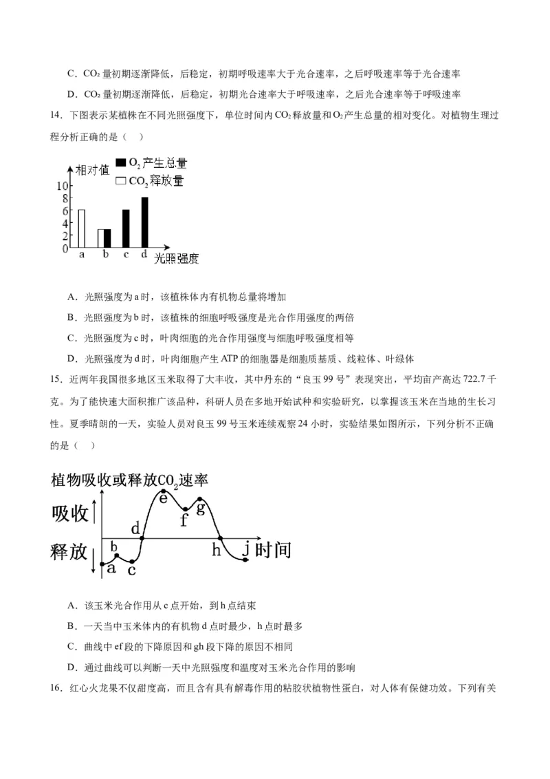 专题10光合作用（原卷版)_2024年新高考资料_3.2024专项复习_备战2024年高考生物一轮复习重难点专项突破_专题10光合作用-备战2024年高考生物一轮复习重难点专项突破