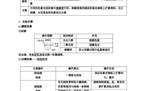 专题10光合作用（原卷版)_2024年新高考资料_3.2024专项复习_备战2024年高考生物一轮复习重难点专项突破_专题10光合作用-备战2024年高考生物一轮复习重难点专项突破