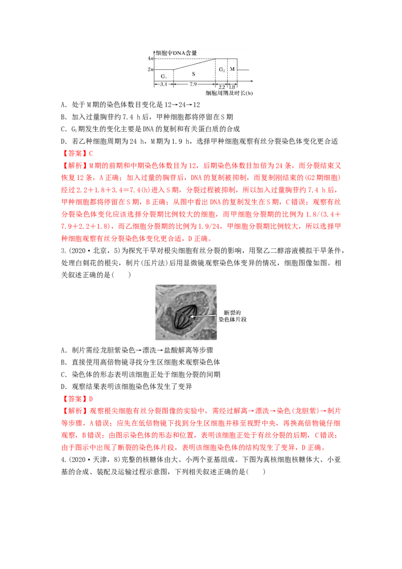 专题11细胞的增殖（串讲）（解析版）_2024年新高考资料_1.2024一轮复习_备战2024年高考生物一轮复习串讲精练（新高考专用）