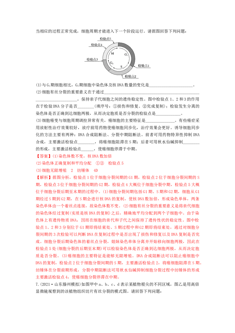 专题11细胞的增殖（串讲）（解析版）_2024年新高考资料_1.2024一轮复习_备战2024年高考生物一轮复习串讲精练（新高考专用）
