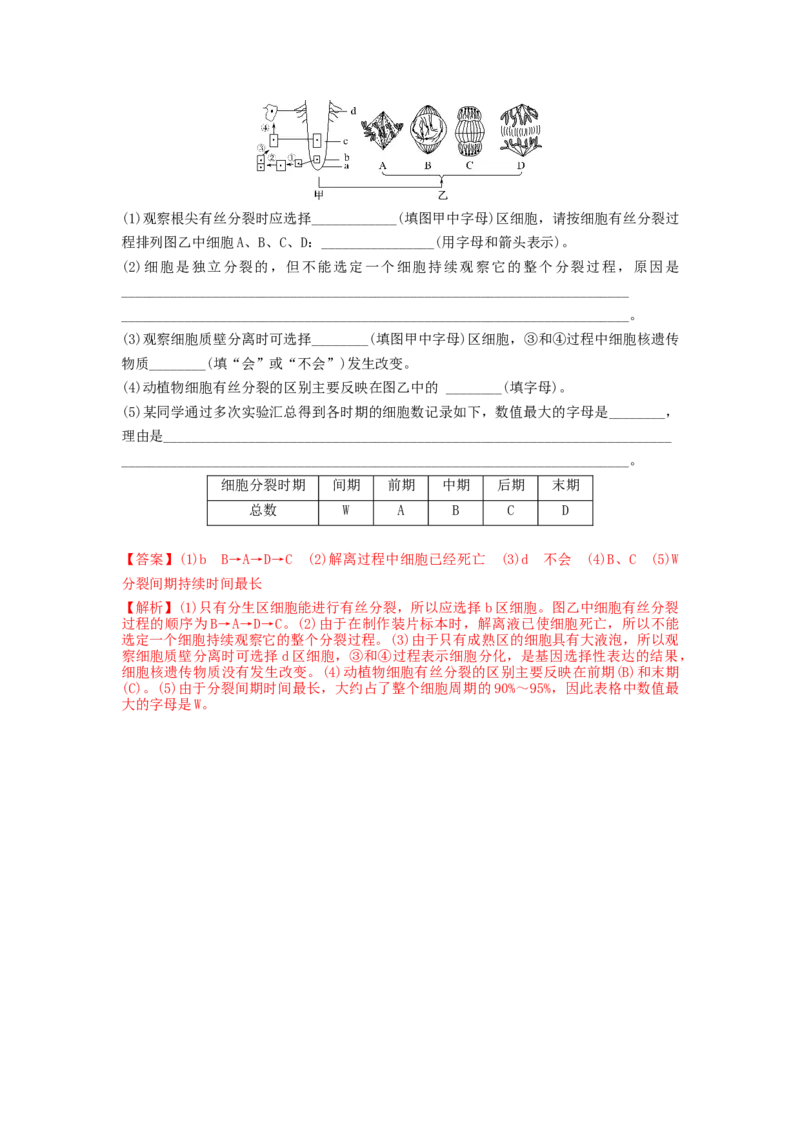 专题11细胞的增殖（串讲）（解析版）_2024年新高考资料_1.2024一轮复习_备战2024年高考生物一轮复习串讲精练（新高考专用）