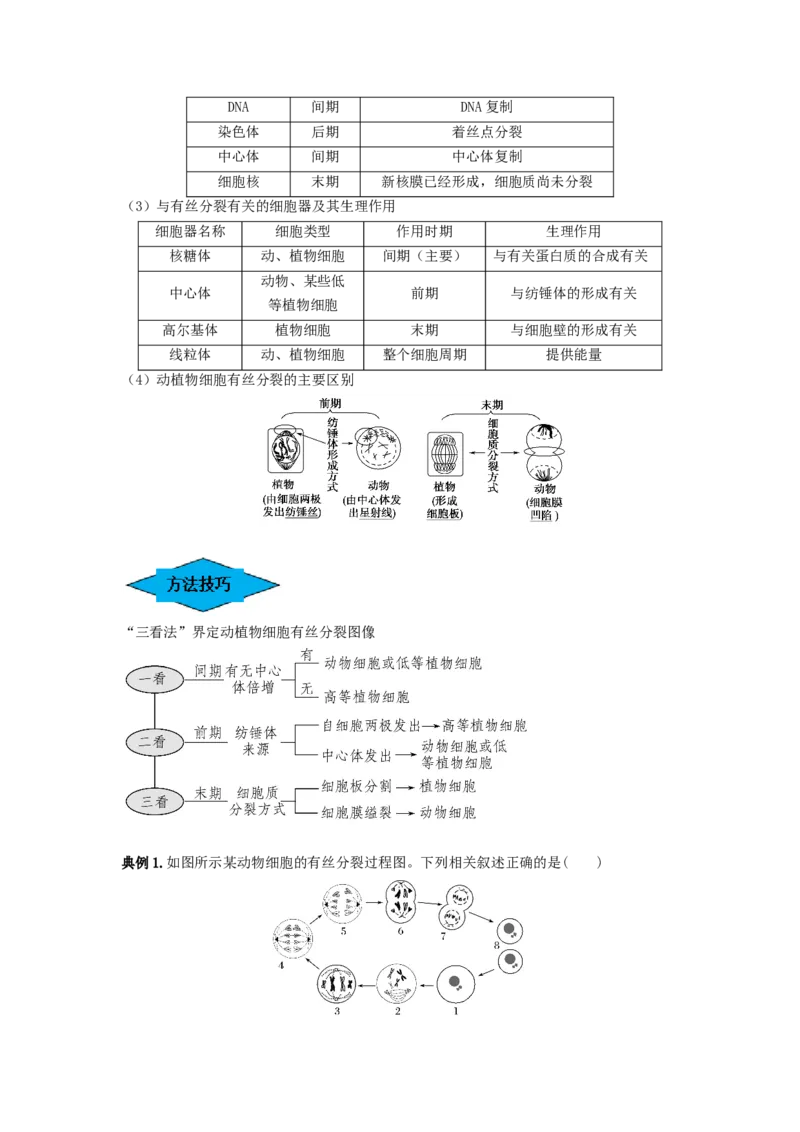 专题11细胞的增殖（串讲）（解析版）_2024年新高考资料_1.2024一轮复习_备战2024年高考生物一轮复习串讲精练（新高考专用）