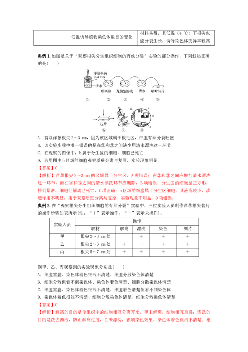 专题11细胞的增殖（串讲）（解析版）_2024年新高考资料_1.2024一轮复习_备战2024年高考生物一轮复习串讲精练（新高考专用）