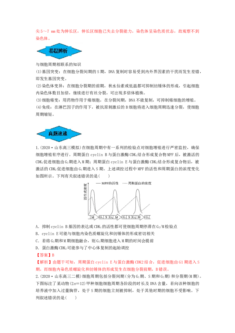 专题11细胞的增殖（串讲）（解析版）_2024年新高考资料_1.2024一轮复习_备战2024年高考生物一轮复习串讲精练（新高考专用）