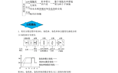 专题11细胞的增殖（串讲）（解析版）_2024年新高考资料_1.2024一轮复习_备战2024年高考生物一轮复习串讲精练（新高考专用）