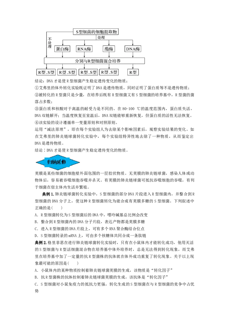 专题17DNA是主要的遗传物质（串讲）（原卷版）_2024年新高考资料_1.2024一轮复习_备战2024年高考生物一轮复习串讲精练（新高考专用）