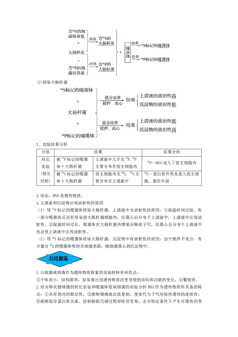 专题17DNA是主要的遗传物质（串讲）（原卷版）_2024年新高考资料_1.2024一轮复习_备战2024年高考生物一轮复习串讲精练（新高考专用）