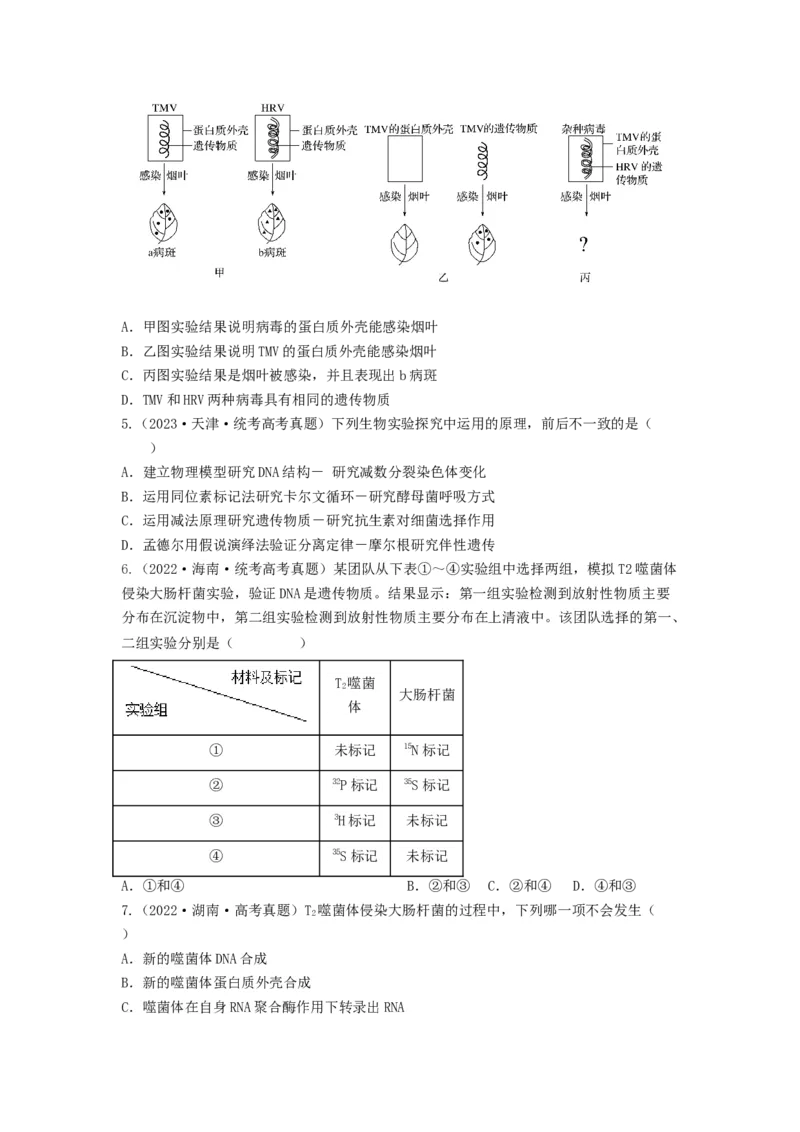专题17DNA是主要的遗传物质（串讲）（原卷版）_2024年新高考资料_1.2024一轮复习_备战2024年高考生物一轮复习串讲精练（新高考专用）