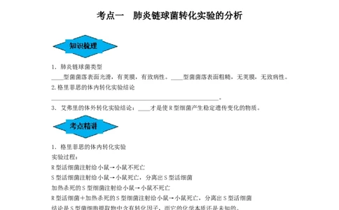 专题17DNA是主要的遗传物质（串讲）（原卷版）_2024年新高考资料_1.2024一轮复习_备战2024年高考生物一轮复习串讲精练（新高考专用）