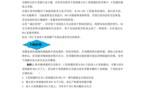 专题17DNA是主要的遗传物质（串讲）（原卷版）_2024年新高考资料_1.2024一轮复习_备战2024年高考生物一轮复习串讲精练（新高考专用）