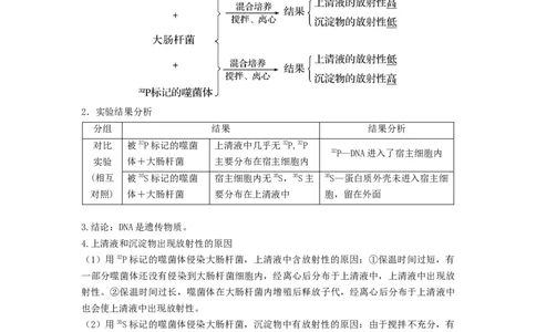 专题17DNA是主要的遗传物质（串讲）（原卷版）_2024年新高考资料_1.2024一轮复习_备战2024年高考生物一轮复习串讲精练（新高考专用）