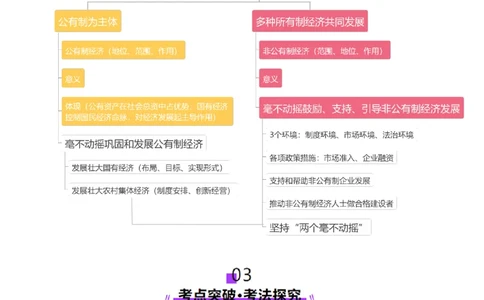 第05讲我国的生产资料所有制（讲义）（解析版）_新高考复习资料_2025年新高考资料_2025年高考政治一轮复习讲练测（新教材新高考）