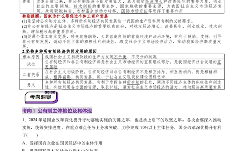 第05讲我国的生产资料所有制（讲义）（解析版）_新高考复习资料_2025年新高考资料_2025年高考政治一轮复习讲练测（新教材新高考）