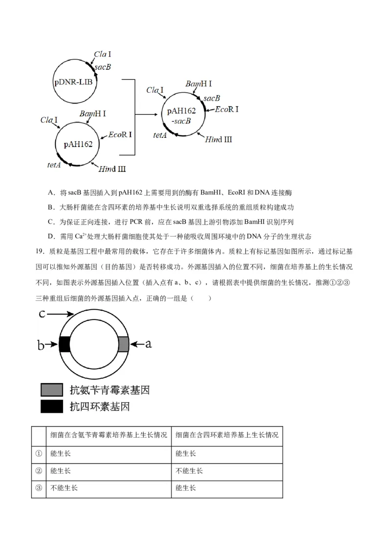 专题43基因工程（原卷版）_2024年新高考资料_3.2024专项复习_备战2024年高考生物一轮复习重难点专项突破_专题43基因工程-备战2024年高考生物一轮复习重难点专项突破