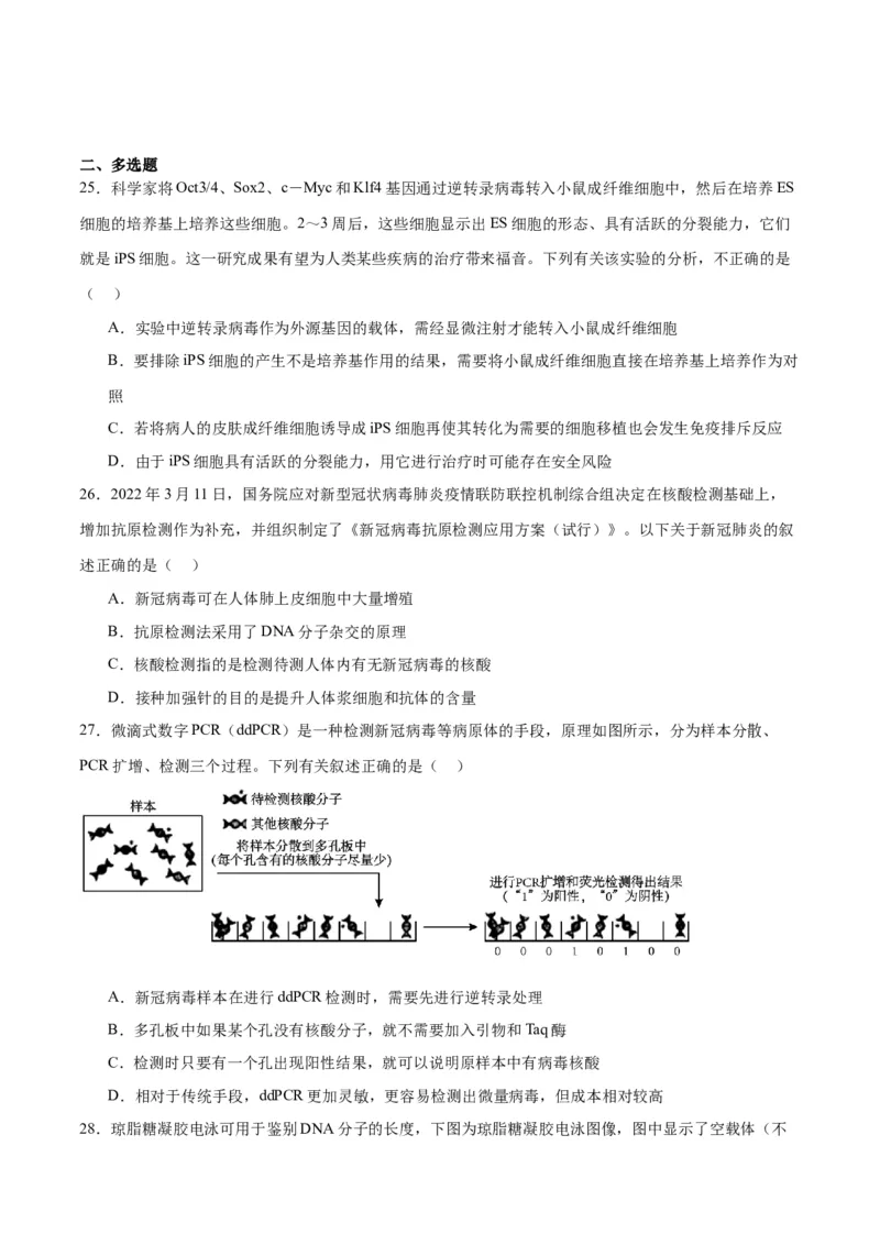 专题43基因工程（原卷版）_2024年新高考资料_3.2024专项复习_备战2024年高考生物一轮复习重难点专项突破_专题43基因工程-备战2024年高考生物一轮复习重难点专项突破