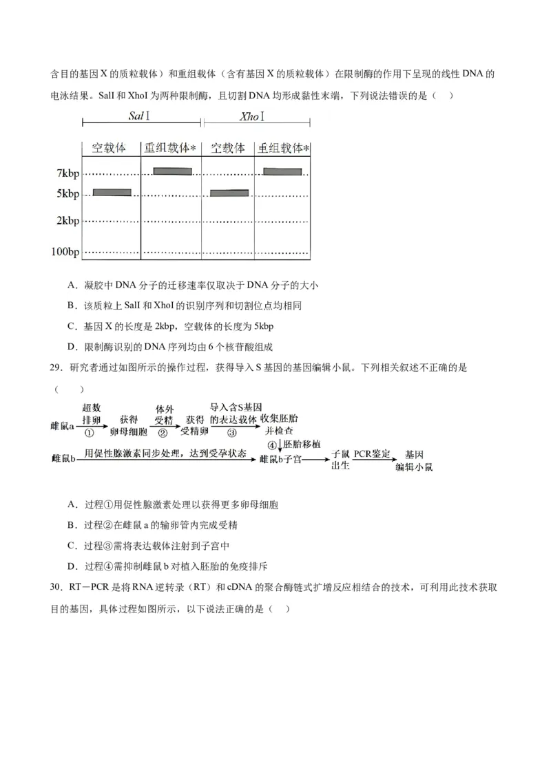专题43基因工程（原卷版）_2024年新高考资料_3.2024专项复习_备战2024年高考生物一轮复习重难点专项突破_专题43基因工程-备战2024年高考生物一轮复习重难点专项突破