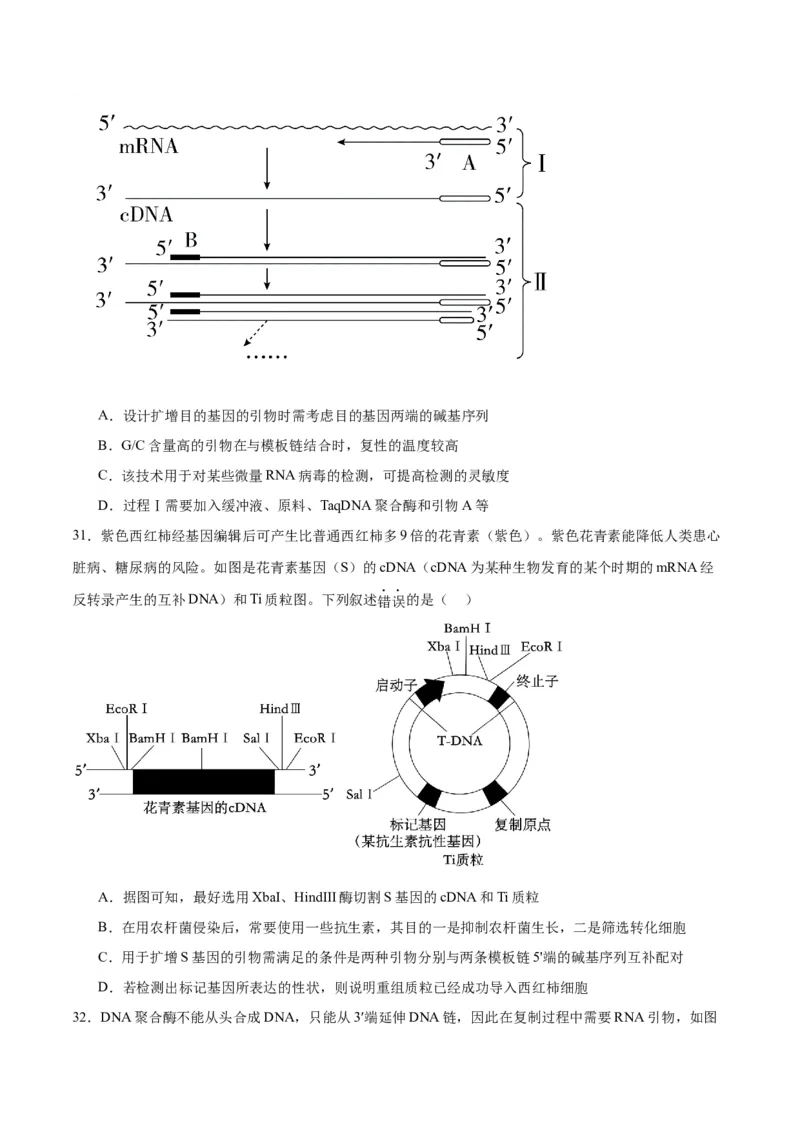 专题43基因工程（原卷版）_2024年新高考资料_3.2024专项复习_备战2024年高考生物一轮复习重难点专项突破_专题43基因工程-备战2024年高考生物一轮复习重难点专项突破
