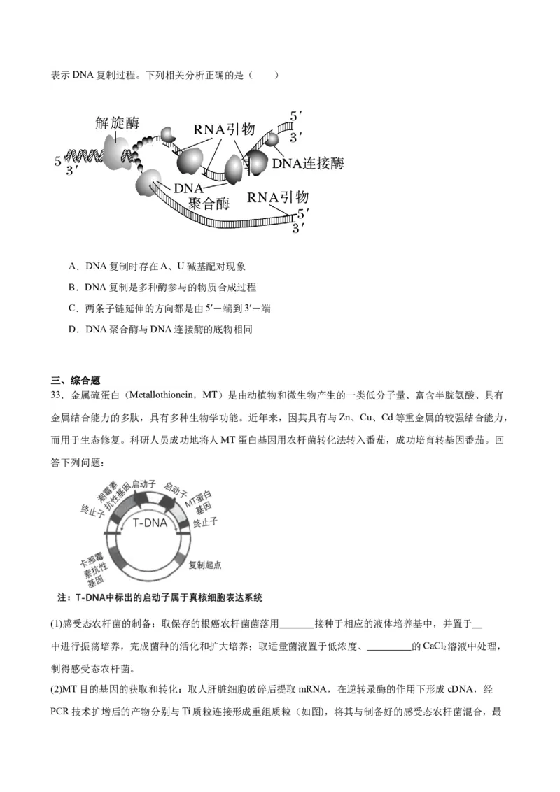 专题43基因工程（原卷版）_2024年新高考资料_3.2024专项复习_备战2024年高考生物一轮复习重难点专项突破_专题43基因工程-备战2024年高考生物一轮复习重难点专项突破