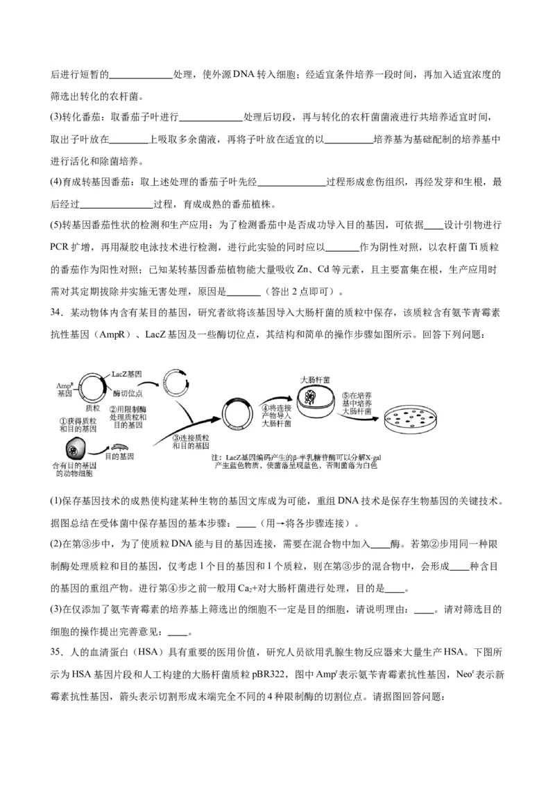 专题43基因工程（原卷版）_2024年新高考资料_3.2024专项复习_备战2024年高考生物一轮复习重难点专项突破_专题43基因工程-备战2024年高考生物一轮复习重难点专项突破