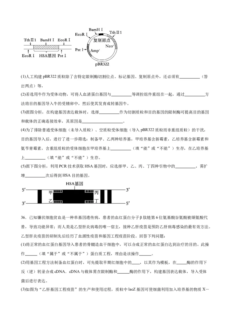 专题43基因工程（原卷版）_2024年新高考资料_3.2024专项复习_备战2024年高考生物一轮复习重难点专项突破_专题43基因工程-备战2024年高考生物一轮复习重难点专项突破