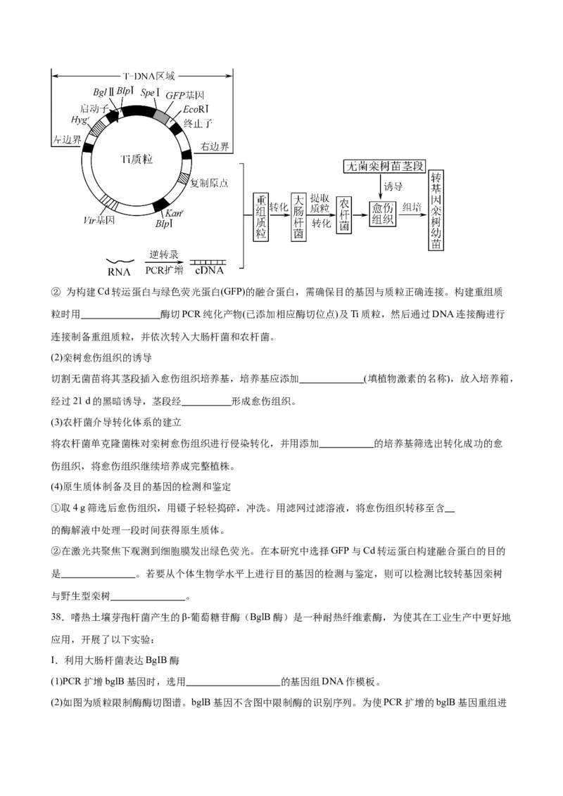 专题43基因工程（原卷版）_2024年新高考资料_3.2024专项复习_备战2024年高考生物一轮复习重难点专项突破_专题43基因工程-备战2024年高考生物一轮复习重难点专项突破
