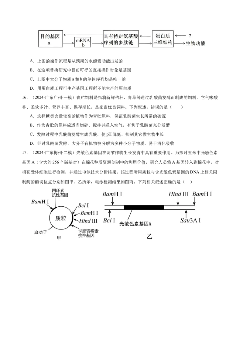 押广东卷选择题生物技术与工程（原卷版）_2024年新高考资料_5.2024三轮冲刺_备战2024年高考生物临考题号押题（广东专用）323137816