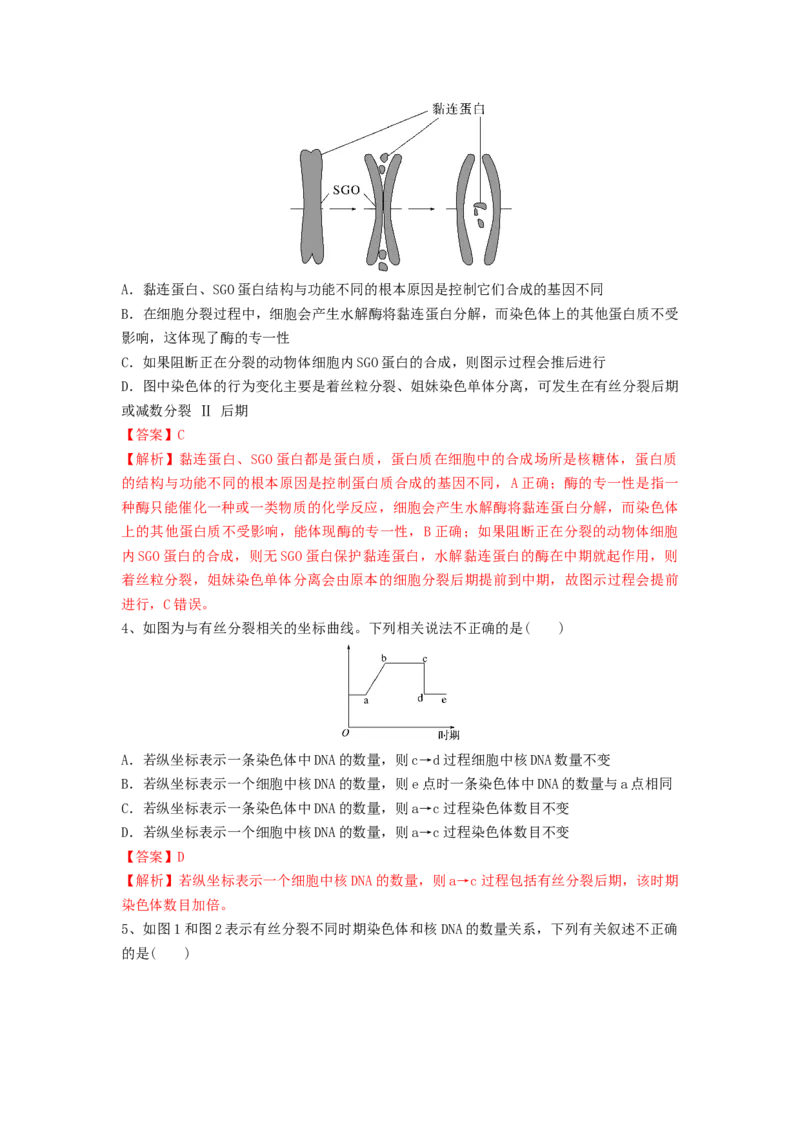 专题11细胞的增殖（精练）（解析版）_2024年新高考资料_1.2024一轮复习_备战2024年高考生物一轮复习串讲精练（新高考专用）