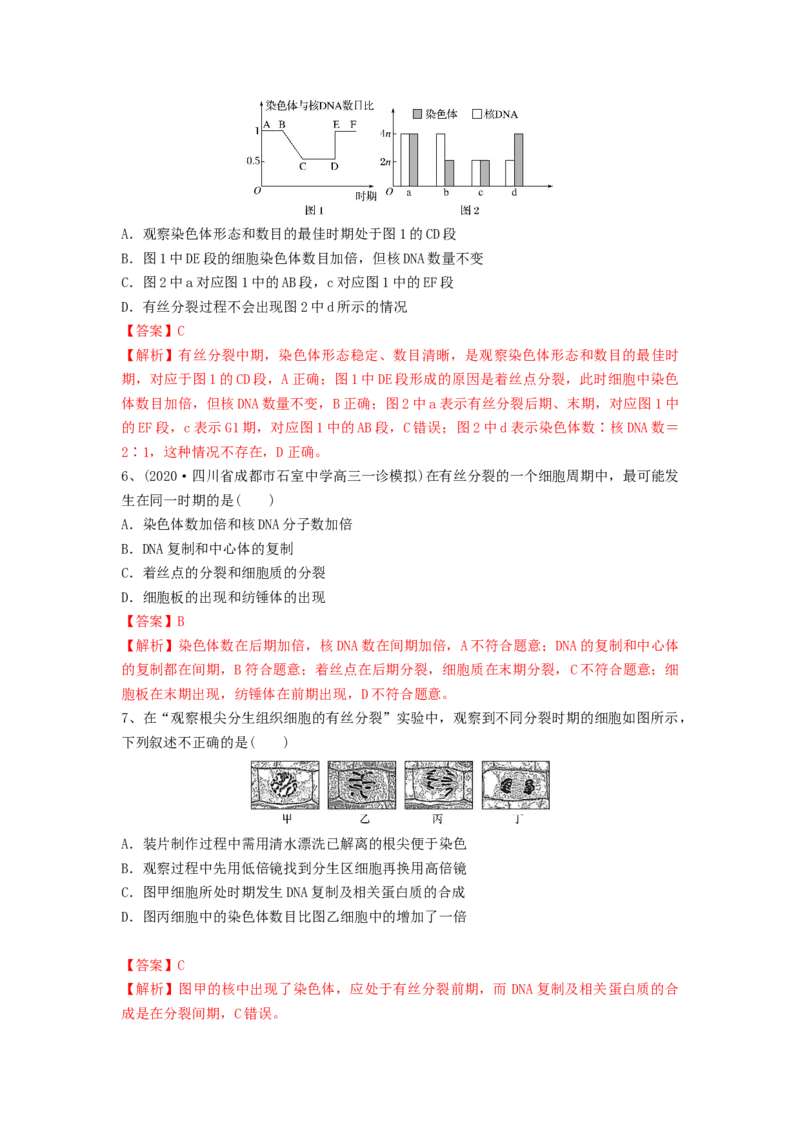 专题11细胞的增殖（精练）（解析版）_2024年新高考资料_1.2024一轮复习_备战2024年高考生物一轮复习串讲精练（新高考专用）