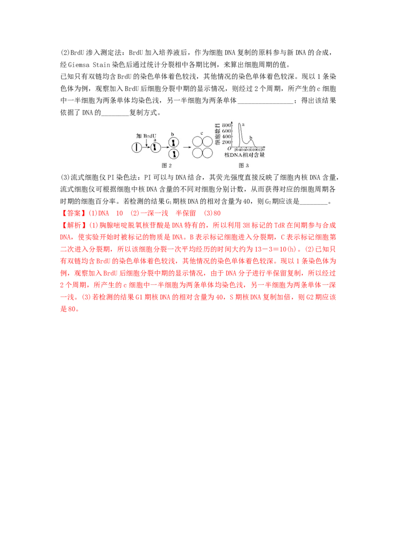专题11细胞的增殖（精练）（解析版）_2024年新高考资料_1.2024一轮复习_备战2024年高考生物一轮复习串讲精练（新高考专用）