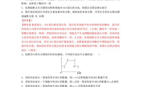专题11细胞的增殖（精练）（解析版）_2024年新高考资料_1.2024一轮复习_备战2024年高考生物一轮复习串讲精练（新高考专用）