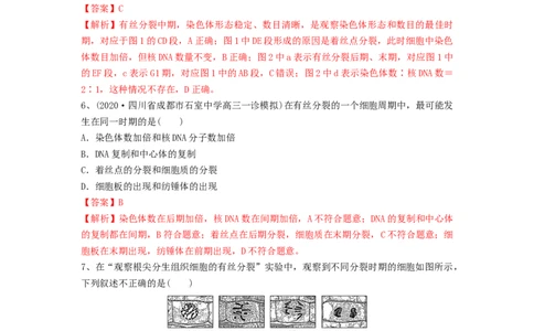 专题11细胞的增殖（精练）（解析版）_2024年新高考资料_1.2024一轮复习_备战2024年高考生物一轮复习串讲精练（新高考专用）