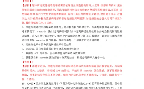 专题11细胞的增殖（精练）（解析版）_2024年新高考资料_1.2024一轮复习_备战2024年高考生物一轮复习串讲精练（新高考专用）