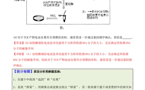 专题10生物技术与工程（解析版）_2024年新高考资料_2.2024二轮复习_2024年高考生物二轮热点题型归纳与变式演练（新高考通用）