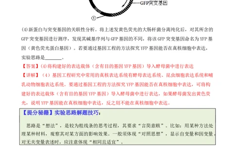 专题10生物技术与工程（解析版）_2024年新高考资料_2.2024二轮复习_2024年高考生物二轮热点题型归纳与变式演练（新高考通用）
