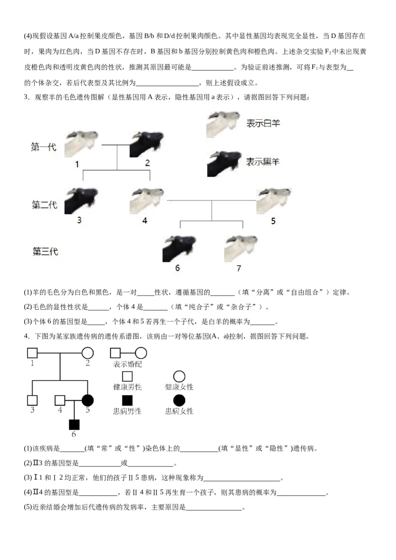 专题二遗传与进化（综合题特训）-2024年高考生物二轮复习专题训练（全国通用）（原卷版）_2024年新高考资料_2.2024二轮复习_2024年高考生物二轮复习专题训练（全国通用）