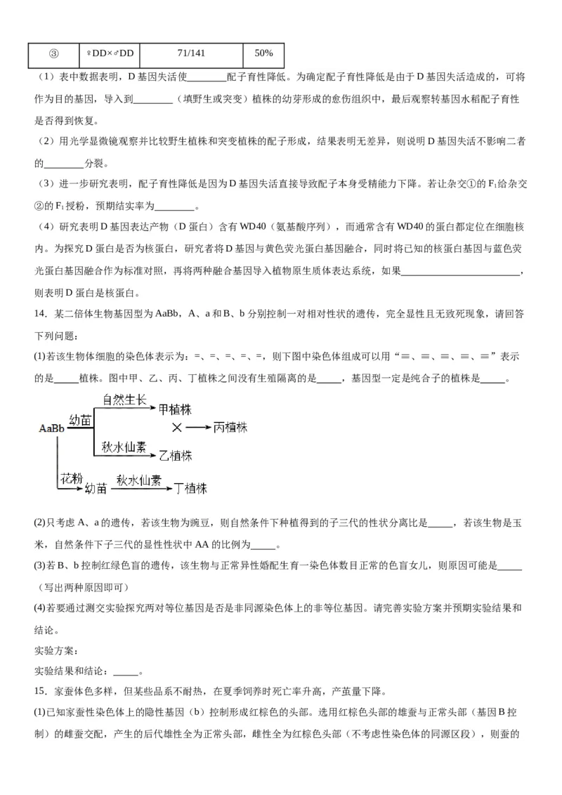 专题二遗传与进化（综合题特训）-2024年高考生物二轮复习专题训练（全国通用）（原卷版）_2024年新高考资料_2.2024二轮复习_2024年高考生物二轮复习专题训练（全国通用）
