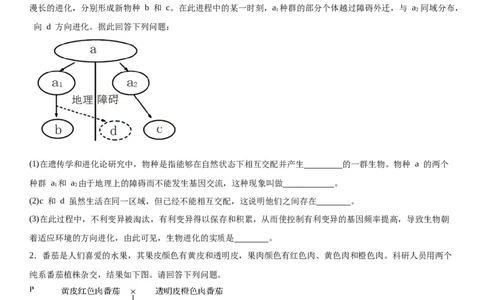 专题二遗传与进化（综合题特训）-2024年高考生物二轮复习专题训练（全国通用）（原卷版）_2024年新高考资料_2.2024二轮复习_2024年高考生物二轮复习专题训练（全国通用）