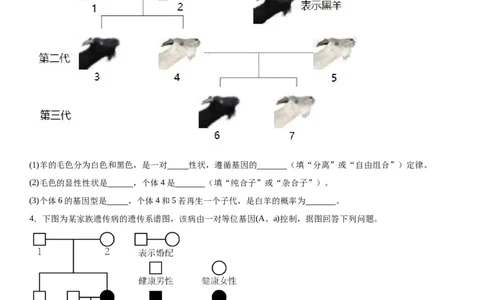专题二遗传与进化（综合题特训）-2024年高考生物二轮复习专题训练（全国通用）（原卷版）_2024年新高考资料_2.2024二轮复习_2024年高考生物二轮复习专题训练（全国通用）