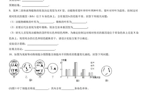 专题二遗传与进化（综合题特训）-2024年高考生物二轮复习专题训练（全国通用）（原卷版）_2024年新高考资料_2.2024二轮复习_2024年高考生物二轮复习专题训练（全国通用）