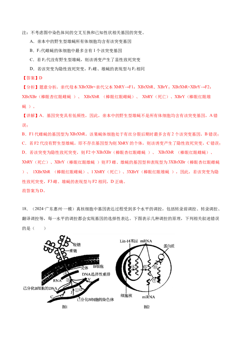 押广东卷选择题遗传的分子基础、变异和进化（解析版）_2024年新高考资料_5.2024三轮冲刺_备战2024年高考生物临考题号押题（广东专用）323137816