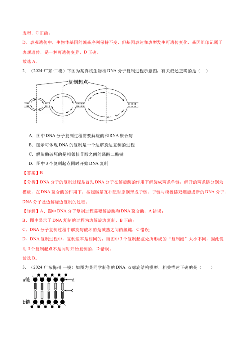 押广东卷选择题遗传的分子基础、变异和进化（解析版）_2024年新高考资料_5.2024三轮冲刺_备战2024年高考生物临考题号押题（广东专用）323137816