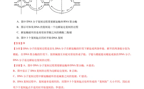 押广东卷选择题遗传的分子基础、变异和进化（解析版）_2024年新高考资料_5.2024三轮冲刺_备战2024年高考生物临考题号押题（广东专用）323137816