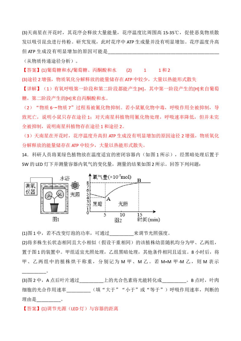 专题04细胞呼吸和光合作用（解析版）_2024年新高考资料_3.2024专项复习_备战2024年高考生物一轮复习重难点突破讲解与训练（新教材）
